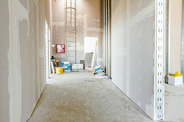 Professional Mold Removal in Val Verde, CA