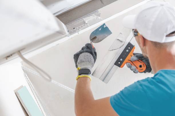 Best Black Mold Removal  in Val Verde, CA